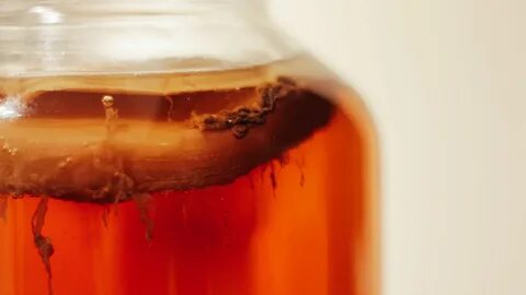 Kombucha – domowy przepis na zdrowy napój probiotyczny 2 Kombucha – domowy przepis na zdrowy napój probiotyczny